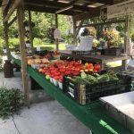 Laughlin Family Farm Photo